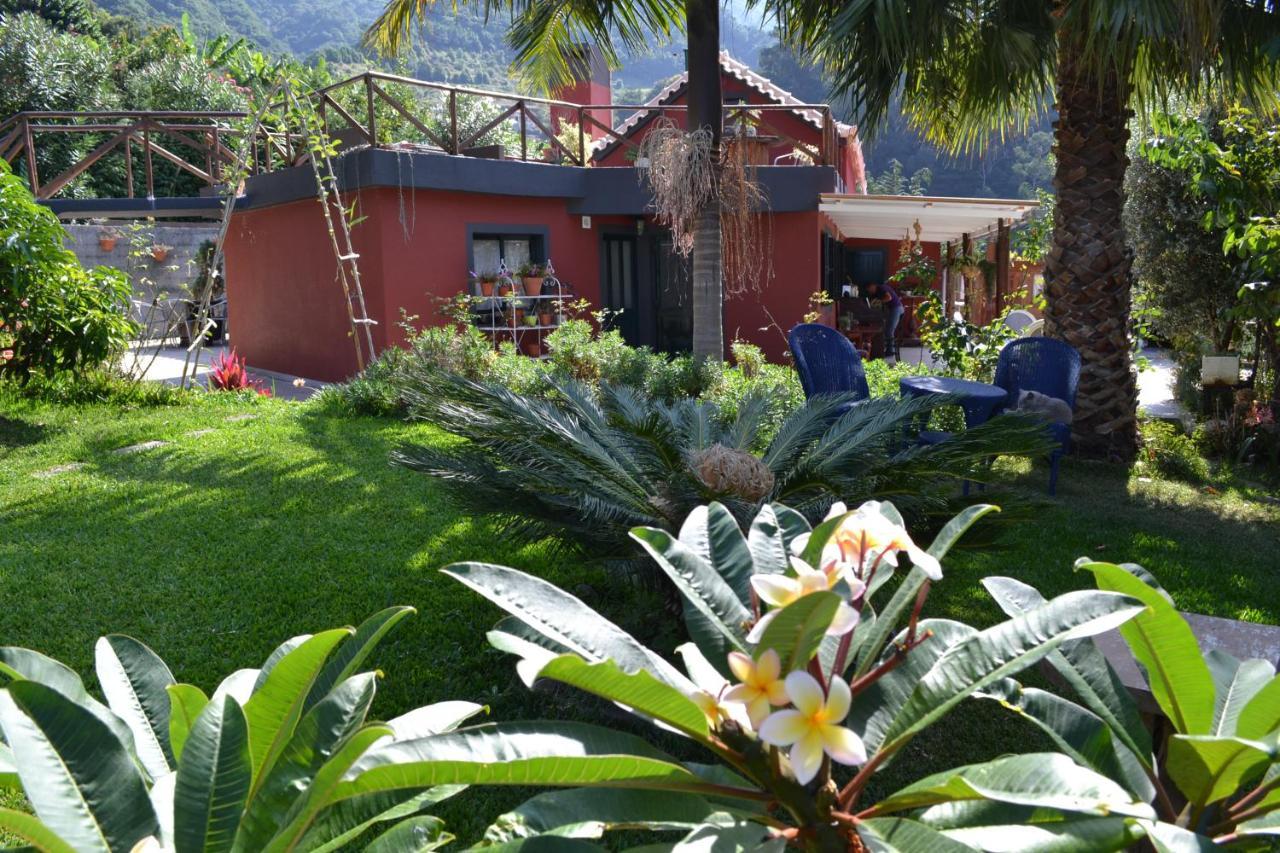 Maderedocevida Bed and Breakfast Boaventura Eksteriør billede