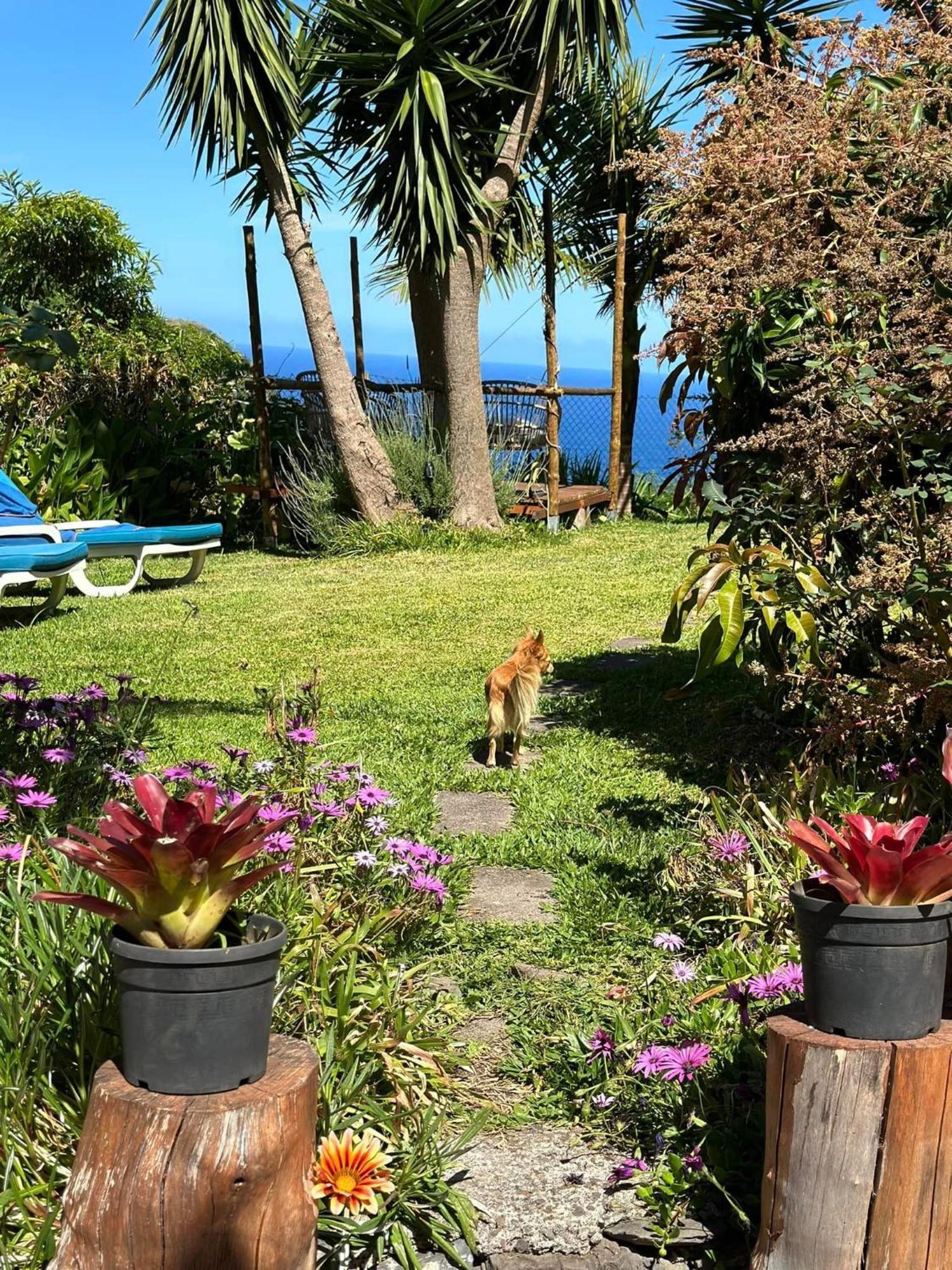 Maderedocevida Bed and Breakfast Boaventura Eksteriør billede