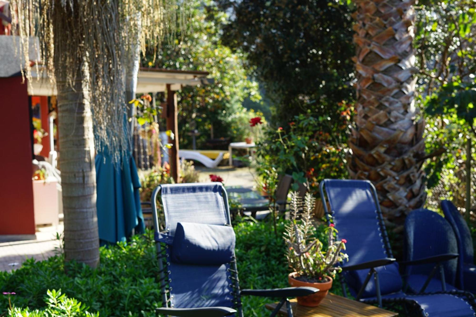 Maderedocevida Bed and Breakfast Boaventura Eksteriør billede